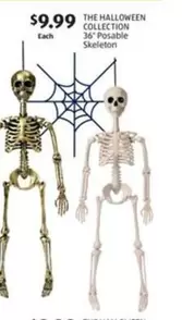THE HALLOWEEN COLLECTION 36" Posable Skeleton