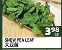 SNOW PEA LEAF