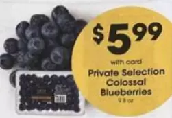 Colossal Blueberries