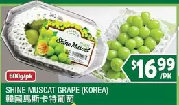 SHINE MUSCAT GRAPE