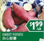 SWEET POTATO