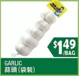 Garlic