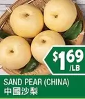 SAND PEAR