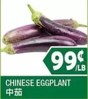 CHINESE EGGPLANT