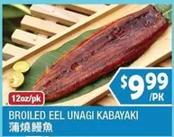 BROILED EEL UNAGI KABAYAKI