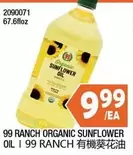 Organic Sunflower Oil