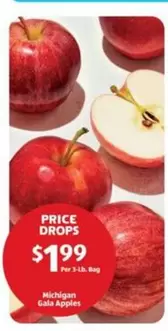 Michigan Gala Apples