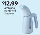 Handheld Steamer