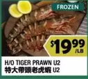 Frozen - H/O TIGER PRAWN U2