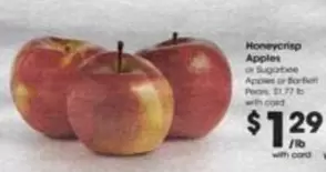 Honeycrisp Apples or Sugabee Apples or Bartlett Pears
