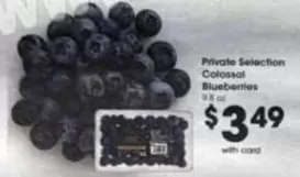 Colossal Blueberries