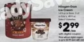 Häagen-Dazs - Ice Cream