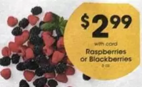 Raspberries or Blackberries