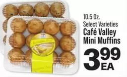 Mini Muffins
