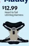 Heart to Tail LED Dog Harness