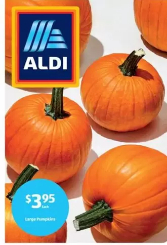Large Pumpkins