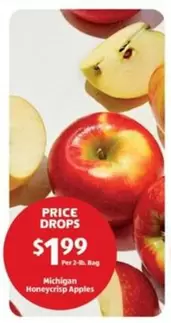 Michigan Honeycrisp Apples