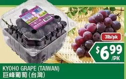 KYOHO GRAPE
