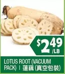 LOTUS ROOT (VACUUM PACK)