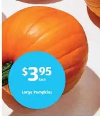 Large Pumpkins
