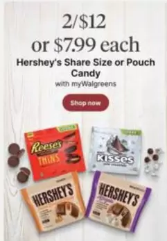 Hershey's - Share Size or Pouch Candy