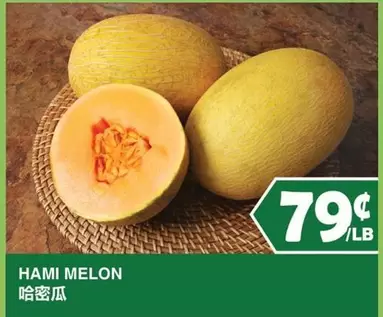 Hami Melon