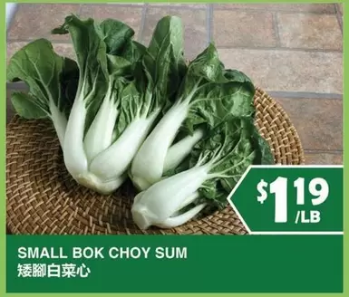 SMALL BOK CHOY SUM