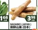 NAGAIMO (JAPAN)