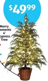 4' Cypress Tree