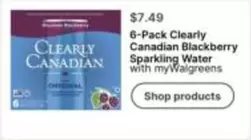 BlackBerry - 6-Pack Clearly Canadian Blackberry Sparkling Water