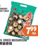 DRIED MUSHROOM