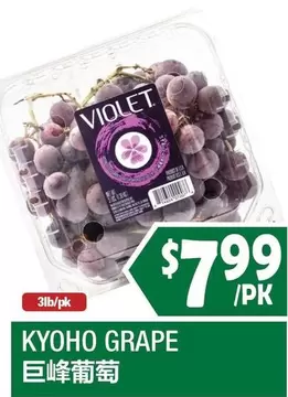 KYOHO GRAPE