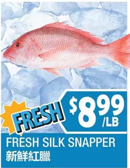 Silk - FRESH SILK SNAPPER