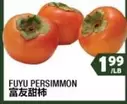 FUYU PERSIMMON
