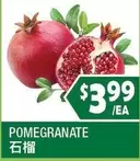 POMEGRANATE