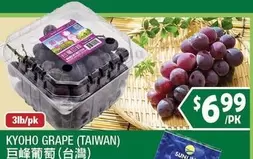 KYOHO GRAPE