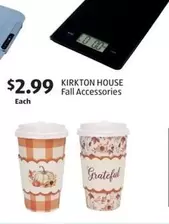 Fall Accessories