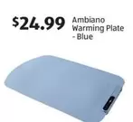 Warming Plate - Blue