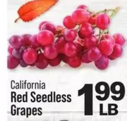 Red Seedless Grapes