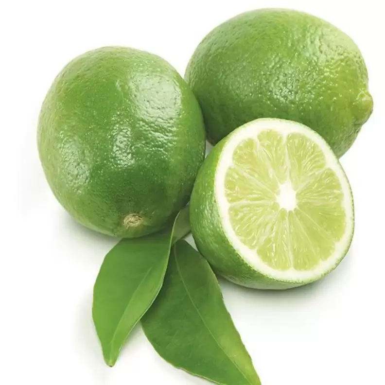 Limes