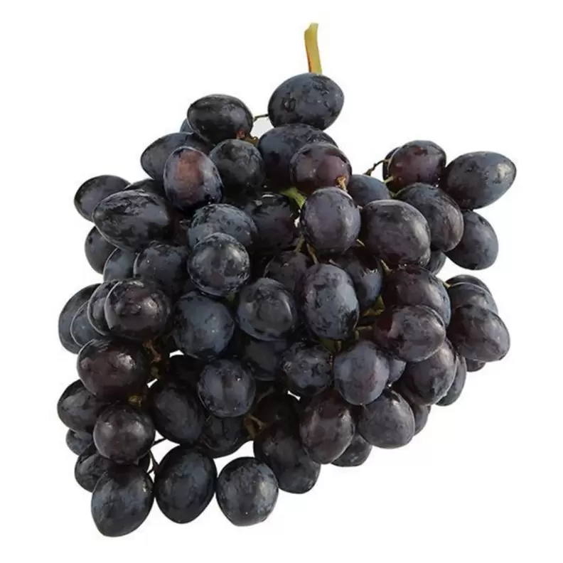 Black Seedless Grapes