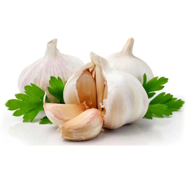 Garlic Bulbs, each