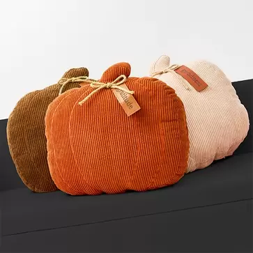 Pumpkin pillow set