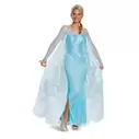 Elsa Costume for Adults by Disguise – Frozen