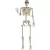 60-inch Posable Skeleton