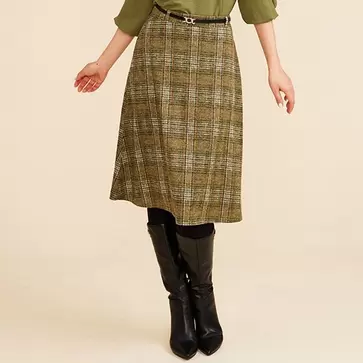 Ladies plaid skirt