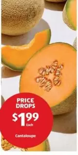 Cantaloupe