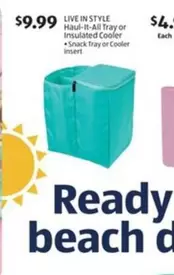 Haul-It-All Tray or Insulated Cooler
