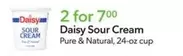 Daisy - Sour Cream