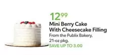 Mini Berry Cake With Cheesecake Filling